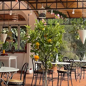 sotto-le-stelle-il-mare.hotelitalianriviera.com/